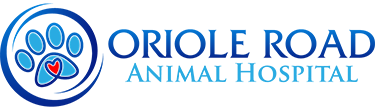 orioleroad ah logo1